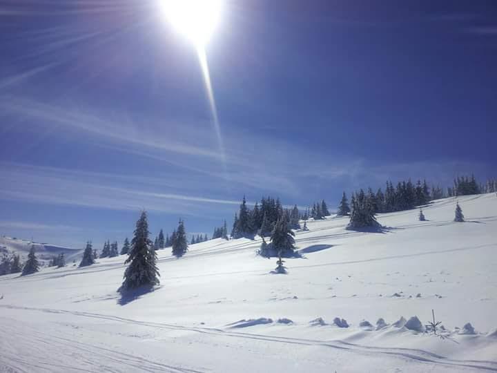 Appartamento Apartman Nina Kopaonik Centar Esterno foto